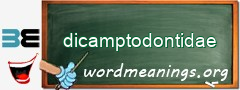 WordMeaning blackboard for dicamptodontidae